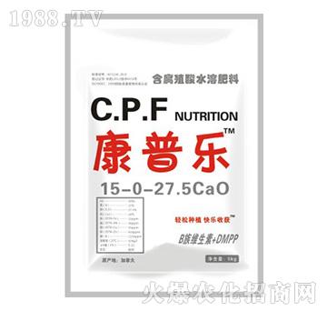 ���՘�(l��)����Ԫ��ˮ�ܷ���