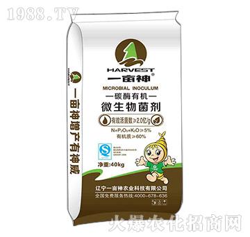 ̼ø�ЙC΢�������-һ����