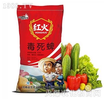 ˎ�Č�(zhu��n)��-0.5%����