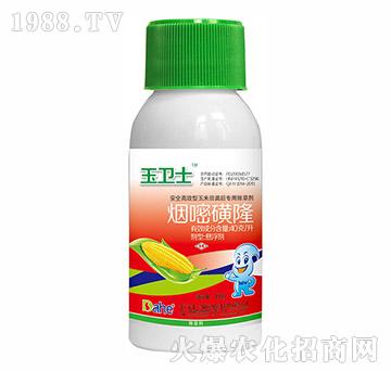 ���׻�¡-���l(w��i)ʿ-�h(yu��n)Ҋ(ji��n)