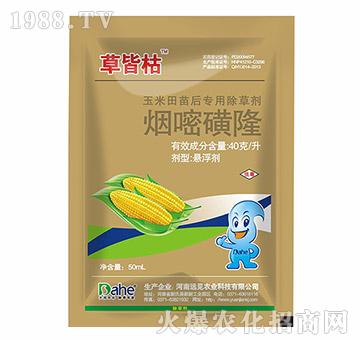 ���׻�¡-�ݽԿ�-�h(yu��n)Ҋ(ji��n)