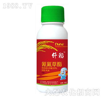 20%�������-Ǫ��-