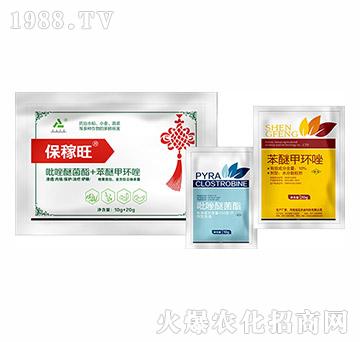 ���������b�M��-�h(yu��n)Ҋ(ji��n)�r(n��ng)