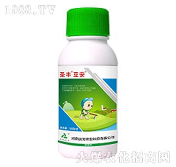 15%��ୡ����ǰ�-ʥ