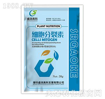 ����������-ʢ���߿�