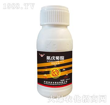 20%�������-���`�S