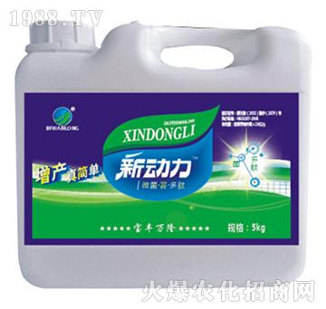 ΢�����|������-���S�f¡