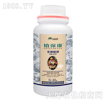 500gֲ����-���_(t��i)��