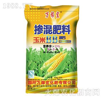 ���ד������22-7-6-�f����