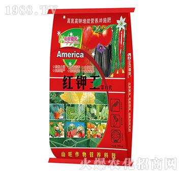 �t�����II��-ɽ����