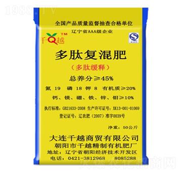 ���ď�(f��)���-ǧԽ����