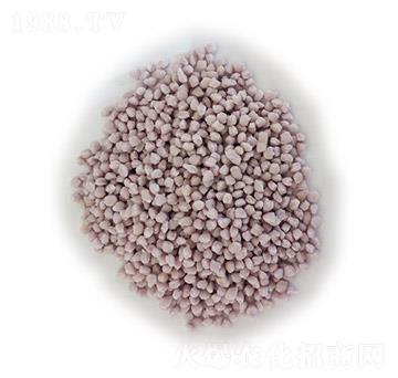 �w���Ȼ��@-¡ʢ-ʩ��