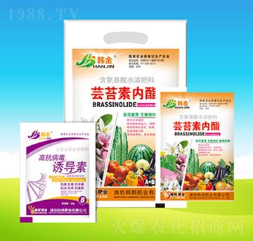 �|̦�؃�(n��i)֬-�n��-�n��ʘI(y��)