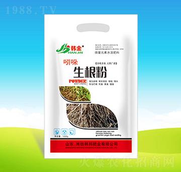 ����������-�n��ʘI(y��)