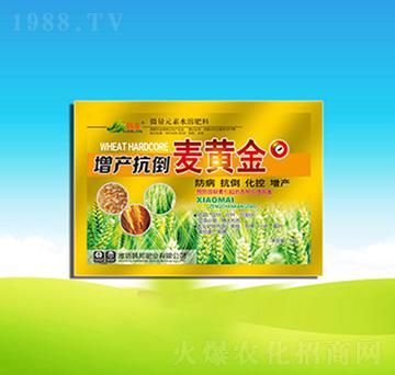 ���a�������S��-�n��ʘI(y��)