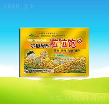 ˮ����������-�n��ʘI(y��)