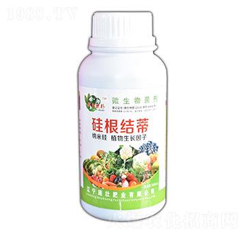 ����Y��-ʩ�ѷʘI(y��)