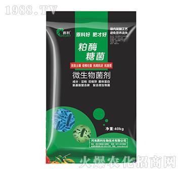 ΢�������-��ø�Ǿ�-����