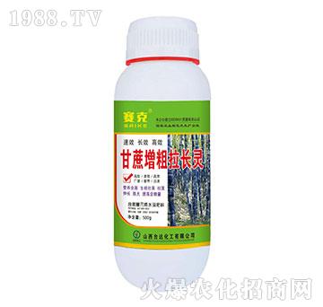 �����������L�`-ِ��-�_�_(d��)