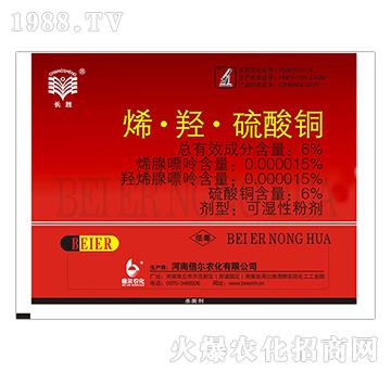 6%ϩ���u�������~���t��-����