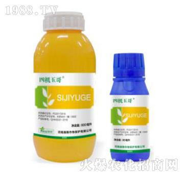 33%���ס�ݬ������-�ęC���-�˹����