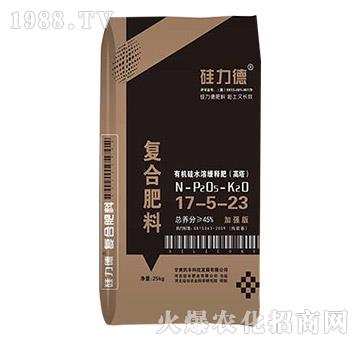 �ЙC��ͺϷ���17-5