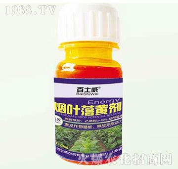 ���~���S��-��ʿ��