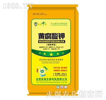 �S�����-��ɭ����