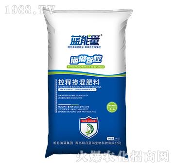 ��ጓ������-�����ǿ�-�{����