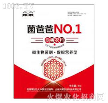 ���ְ�-��ؾ�����