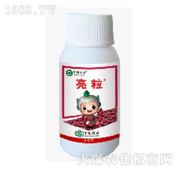 600��ÿ�����x��-����-���r(n��ng)(li��n)��