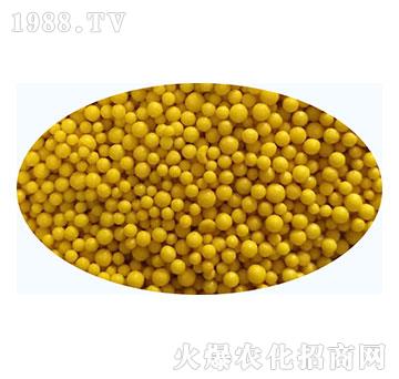 �w����Ʒ5-���ʿطʘI(y��)