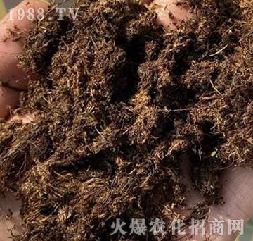 ����PINSTRUP��̿��-��(sh��)��