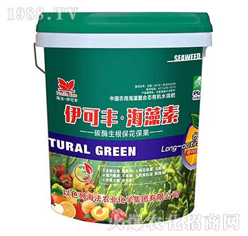 ̼ø������������-�����S��������-����