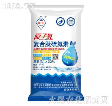 ԭ�ӵ��ͺ�����-����