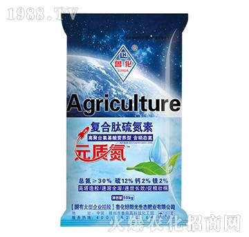 ��(f��)��������-����