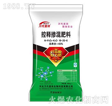 ��ጓ������19-20-6-�f������