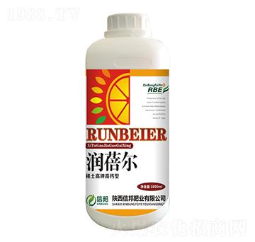 ϡ�����}��⛷�-������-�Ű�ʘI(y��)