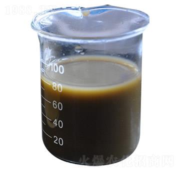 ø�⺣��ԭҺ-�п��d��