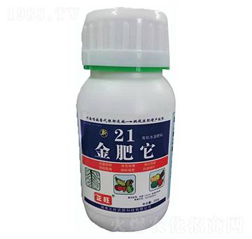 21�����-�����r(n��ng)��