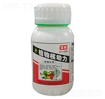 ֲ��˄���-�����r(n��ng)��