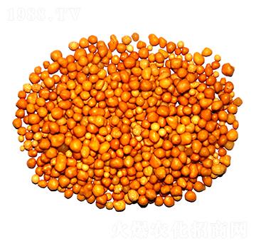 ����n�w����ጷ�15-