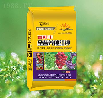 ȫ�I(y��ng)�B(y��ng)�߼t�-�ٿ��S