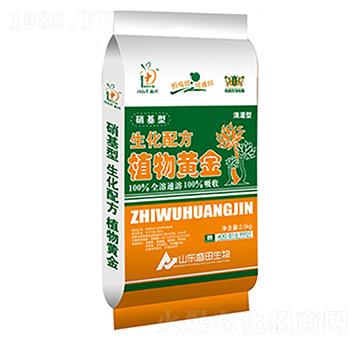 �����䷽ֲ���S��-ʢ��