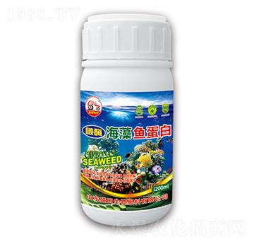 �����~����-ʢ������