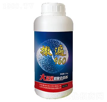 ����960-�|�SԴ