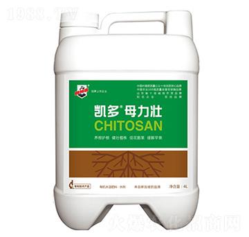 �P��ĸ����-������