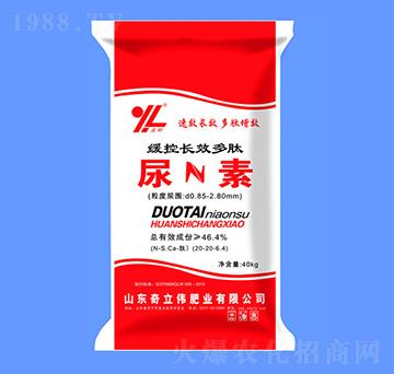 �����L(zh��ng)Ч��������-����