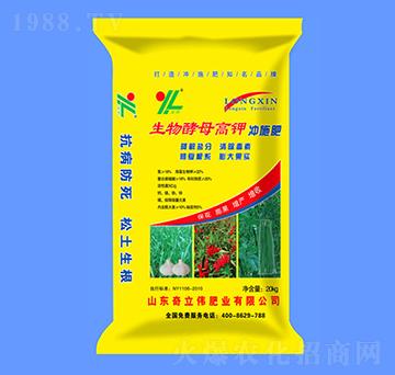 �����ĸ��⛛_ʩ��-��