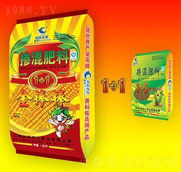 �������30-12-12-�����1+1-�����r(n��ng)��